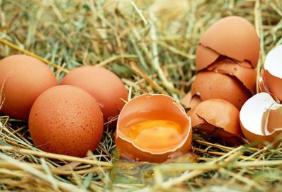 Tovább emelkedik a tojás ára, a jégesők pedig komoly károkat okoztak