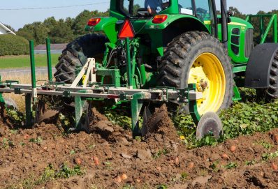 Megállt a mezőgéppiac: a csodára várunk?